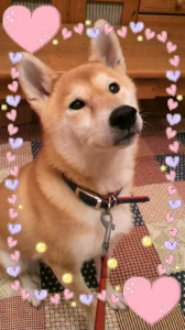 ☆明日～私は… 画像1