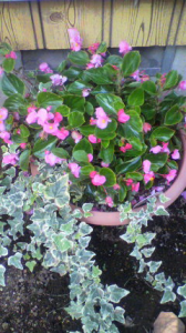 これで、ええですろうか～<m(__)m> 画像1