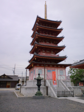 電動ウォーカー３０分 画像3