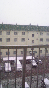 雪････ 画像1