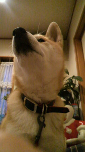 ☆旦那のいいところ・・？？？ 画像2