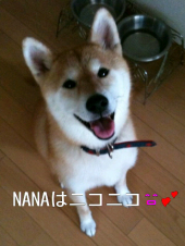 ☆シッシ・・・って？。。(〃_ _)σ∥ 画像2