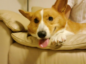今日は 画像1
