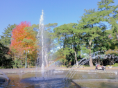 お市の方と三姉妹 画像2