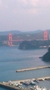 昨夜の・・・ 画像2