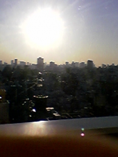 気持ちのいい朝です。 画像1
