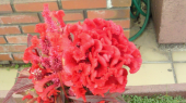 葛根湯 画像1