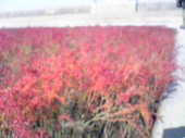 BA様が居ぬ間に。。(^^♪ 画像1