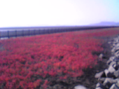 BA様が居ぬ間に。。(^^♪ 画像2