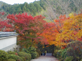 紅葉狩りへ・・・ 画像2