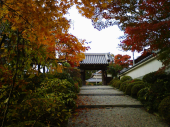 紅葉狩りへ・・・ 画像3