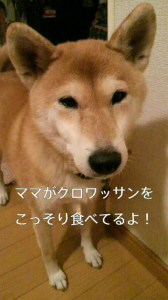 ☆真夜中の誘惑～(*^^*) 画像1