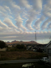 風邪っぴき 画像1