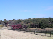 ☆紅葉をたっぷり楽しみました☆ 画像3