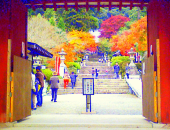 紅葉狩りのハシゴ 画像1