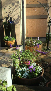 ☆365日？ 画像2