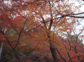 no title 画像1