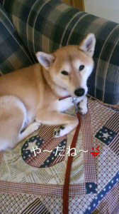 ☆顔の不思議・・・ 画像3