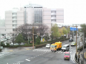 新潟は吹雪いています・・・ 画像1