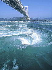 うず潮 画像1