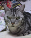 〇忘ウィーク突入ーーーーーーっつ！！