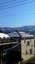 今日はこんなです