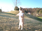 今日は・・・今の携帯ってすごい 画像1