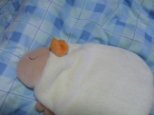 羊 画像1
