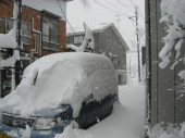 大雪 画像1