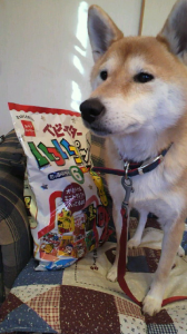 ☆目指せ！小尻！(≧▽≦）☆ 画像3