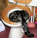 Hung over