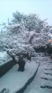 雪景色 画像1