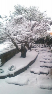 雪景色 画像2