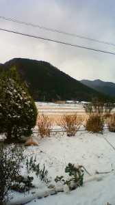 さぶ～、雪です。 画像1