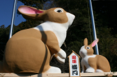 明けましておめでとうございます 画像2