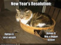 New Year's Resolutions