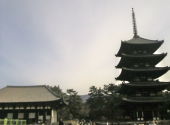 奈良 画像2