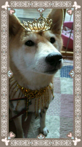 ☆姫ーーーー!!! 画像2