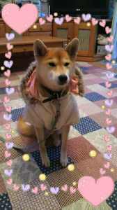 ☆子供ってさー(´∀｀;) 画像2