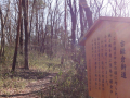 森林公園