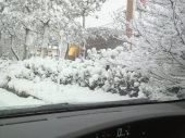 とうとう、新潟も雪が・・・ 画像1