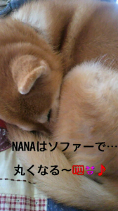 ☆目指せー！！ 画像2