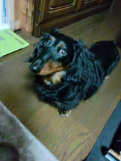 ＪＵＪＵ 画像2