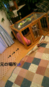 ☆恐怖の解体工事・・・ﾋｨｨｨｨｨ(ﾟﾛﾟ;ﾉ)ﾉ　　 画像1