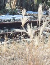 日帰りツァー 画像2