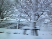 連日・・・雪・・・・(ｏ´_｀ｏ)ﾊｧ･･ 画像1