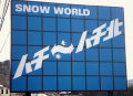 ハチ北