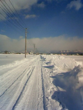 しばしお待ち下さいませ　・・・♪ 画像3