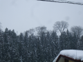 融雪
