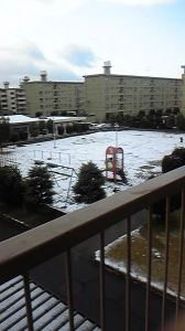 雪の元旦… 画像1